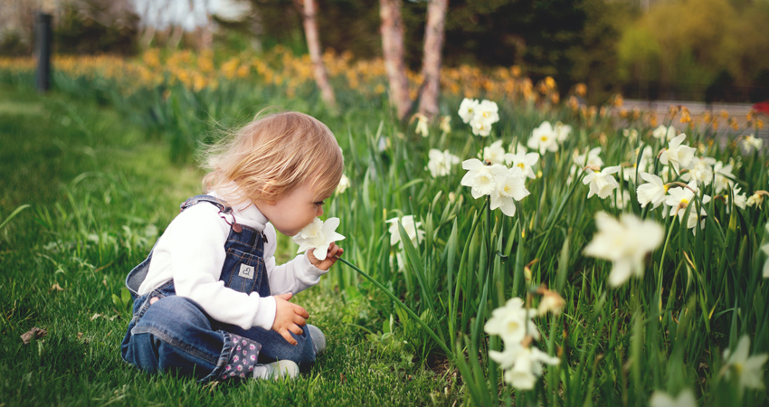 11 Things to Do With Kids in Ann Arbor This Spring